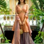 Alluring Premium Orange Dress for Women